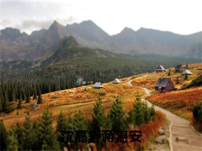 沈嘉舒蒋湛安全文免费阅读_沈嘉舒蒋湛安（沈嘉舒蒋湛安）小说在线阅读最新章节列表笔趣阁