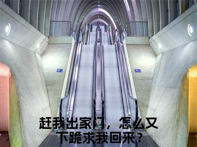 陆青云小说（赶我出家门，怎么又下跪求我回来？）全文免费阅读无弹窗大结局_（陆青云）赶我出家门，怎么又下跪求我回来？小说免费阅读最新章节列表