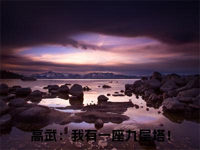 庄毅（高武：我有一座九层塔！）全文免费阅读_庄毅言诺诺，井傅宸小说最新章节列表笔趣阁