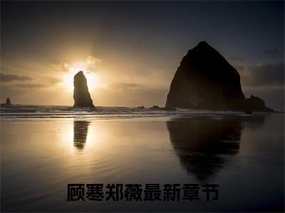 顾寒郑薇全文免费完整版-顾寒郑薇小说阅读