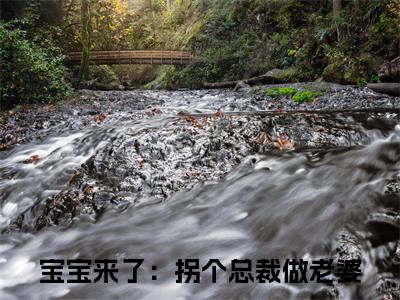 程昱颂乔安然小说（宝宝来了：拐个总裁做老婆）全文免费阅读_程昱颂乔安然小说（宝宝来了：拐个总裁做老婆）最新章节列表笔趣阁小说