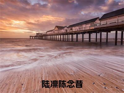 陆凛陈念昔小说(陆凛陈念昔)全文免费阅读无弹窗(小说全文免费阅读)陆凛陈念昔最新章节列表_笔趣阁