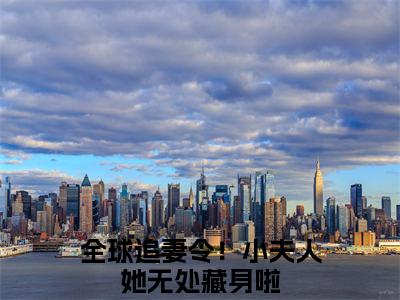 全球追妻令！小夫人她无处藏身啦小说全文免费阅读_全球追妻令！小夫人她无处藏身啦（云栀意厉阈野）最新章节列表在线阅读