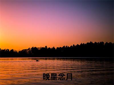 主角为晚星念月的小说（于辞程则奕）大结局免费阅读-于辞程则奕全文免费阅读笔趣阁
