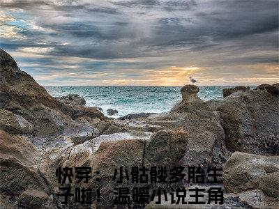 快穿：小骷髅多胎生子啦！温暖（快穿：小骷髅多胎生子啦！温暖)全文免费阅读无弹窗大结局_快穿：小骷髅多胎生子啦！温暖全文免费阅读_笔趣阁（快穿：小骷髅多胎生子啦！温暖）