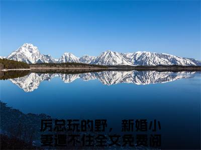 厉邢童晚书小说全文免费阅读_厉总玩的野，新婚小妻遭不住（厉邢童晚书）最新章节列表笔趣阁