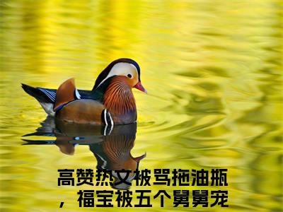 被骂拖油瓶，福宝被五个舅舅宠翻姜浅（被骂拖油瓶，福宝被五个舅舅宠翻姜浅）全文免费阅读无弹窗大结局_被骂拖油瓶，福宝被五个舅舅宠翻姜浅最新章节列表_笔趣阁（被骂拖油瓶，福宝被五个舅舅宠翻姜浅）