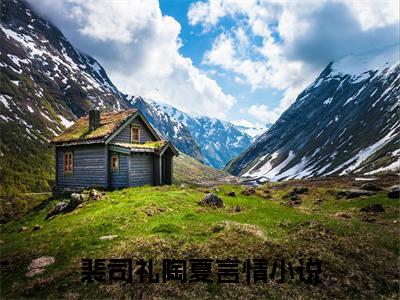 （裴司礼陶夏）全文免费阅读无弹窗大结局_（裴司礼陶夏阅读无弹窗）裴司礼陶夏最新章节列表_笔趣阁（裴司礼陶夏）
