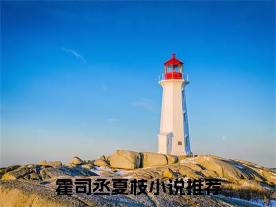 霍司丞夏枝是什么小说-霍司丞夏枝全文免费阅读无弹窗大结局（霍司丞夏枝）最新章节阅读