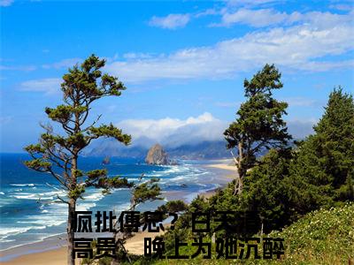孟薇傅烨寒（疯批傅总？白天清冷高贵，晚上为她沉醉）免费阅读无弹窗大结局-孟薇傅烨寒免费阅读大结局最新章节列表_笔趣阁