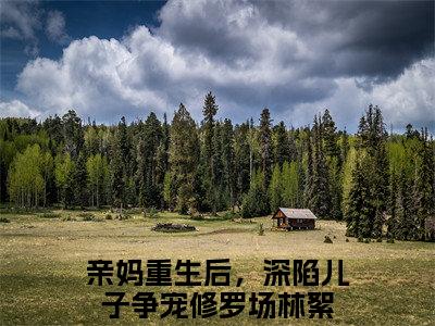 全章节完整《亲妈重生后，深陷儿子争宠修罗场林絮》全文阅读《亲妈重生后，深陷儿子争宠修罗场林絮》