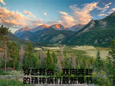 沈知念傅观辞全文免费阅读无弹窗大结局_（穿越算命：双向奔赴的精神病们）沈知念傅观辞免费阅读无弹窗最新章节列表_笔趣阁
