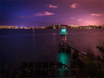 裴玄夜苏绾通房揣崽死遁，毒舌世子急疯了！小说全文免费阅读无弹窗大结局_（通房揣崽死遁，毒舌世子急疯了！）最新章节列表笔趣阁