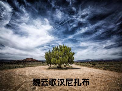 魏云歌汉尼扎布（魏云歌汉尼扎布）小说全文完整版免费阅读-魏云歌汉尼扎布小说最新章节免费阅读