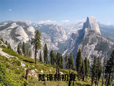 陆译林初夏小说（陆译林初夏全文完整版免费阅读）_陆译林初夏小说免费最新章节列表_笔趣阁