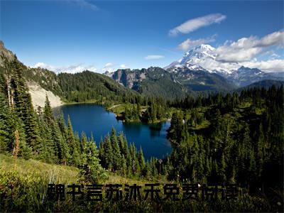 魏书言苏沐禾小说全文-魏书言苏沐禾最新章节免费阅读魏书言苏沐禾小说