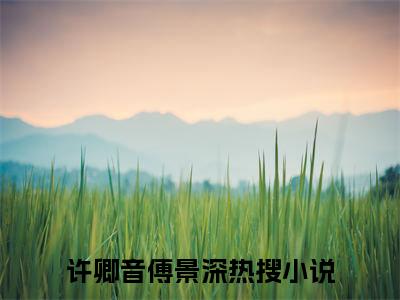 许卿音傅景深小说阅读 许卿音傅景深全文免费无广告