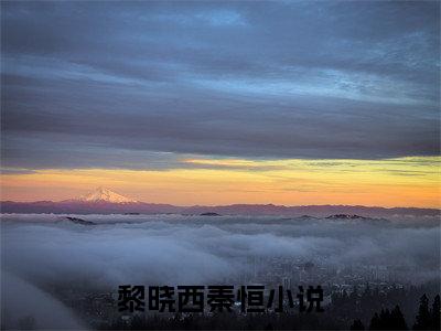 黎晓西秦恒最新完结小说阅读-黎晓西秦恒小说收藏阅读