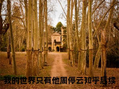 我的世界只有他周停云(我的世界只有他周停云)全文免费阅读无弹窗大结局_(我的世界只有他周停云免费阅读全文大结局)我的世界只有他周停云最新章节列表_笔趣阁（我的世界只有他周停云）