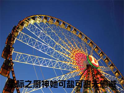 星际之厨神她可盐可甜（陆瑾修简言）全文免费阅读无弹窗大结局_（陆瑾修简言无弹窗）全文完整版免费阅读