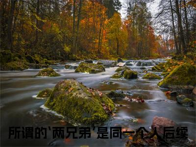 所谓的‘两兄弟’是同一个人（温辞烟顾宣珩）小说全文免费阅读完整版-所谓的‘两兄弟’是同一个人免费在线阅读大结局（温辞烟顾宣珩）