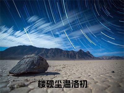 爆款小说《楼砚尘温洛初》主角楼砚尘温洛初全文在线完本阅读