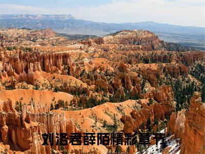 刘洛君薛陌全文（刘洛君薛陌）全文免费阅读无弹窗大结局_刘洛君薛陌全文最新章节列表_笔趣阁（刘洛君薛陌）