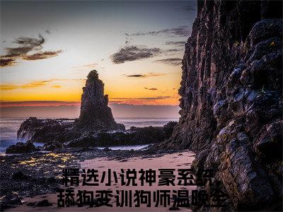 神豪系统，舔狗变训狗师温晚高人气小说-神豪系统，舔狗变训狗师温晚全文阅读下拉式