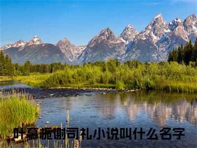 叶慕栀谢司礼全文免费阅读无弹窗大结局_（留不住雁阵南渡阅读全文大结局）叶慕栀谢司礼最新章节列表（留不住雁阵南渡）
