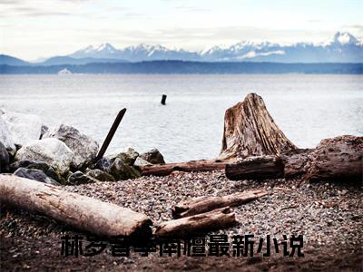 林岁音季南檀(林岁音季南檀)全文免费阅读无弹窗大结局_(林岁音季南檀免费阅读全文大结局)最新章节列表_笔趣阁（林岁音季南檀）