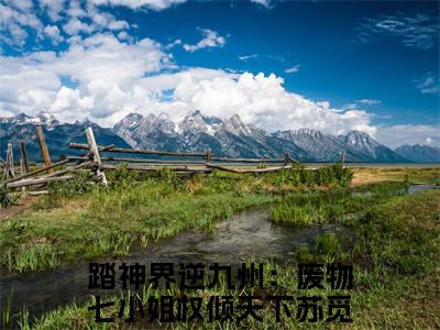 踏神界逆九州：废物七小姐权倾天下苏觅(踏神界逆九州：废物七小姐权倾天下苏觅)全文阅读无弹窗大结局-踏神界逆九州：废物七小姐权倾天下苏觅小说结局免费阅读_笔趣阁（踏神界逆九州：废物七小姐权倾天下苏觅）