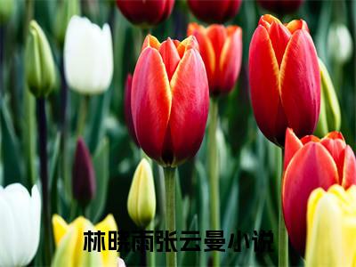林晓雨张云曼完整版（林晓雨张云曼小说）全文免费阅读无弹窗大结局_林晓雨张云曼最新章节（林晓雨张云曼全文）