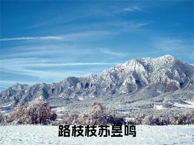 路枝枝苏昱鸣阅读无弹窗大结局_路枝枝苏昱鸣穿越小说免费阅读_笔趣阁