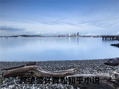 三万买房，小镇养老（柳望雪许青松）全文免费阅读无弹窗大结局_（三万买房，小镇养老阅读全文大结局）柳望雪许青松最新章节列表