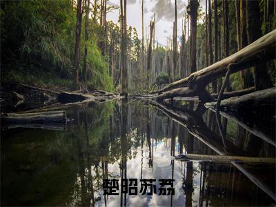 楚昭苏荔全文免费阅读无弹窗（楚昭苏荔）小说-楚昭苏荔小说免费阅读