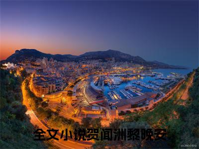 主角是贺闻洲黎晚安的小说叫什么名字 贺闻洲黎晚安小说免费阅读