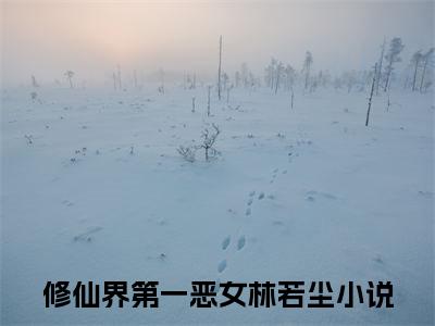 修仙界第一恶女林若尘推荐免费新书 -修仙界第一恶女林若尘小说阅读无弹窗