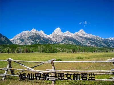 修仙界第一恶女林若尘小说全文免费阅读无弹窗大结局_修仙界第一恶女林若尘最新章节列表
