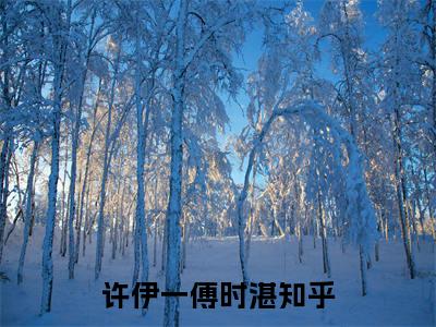 许伊一傅时湛小说大结局免费阅读-精彩小说（许伊一傅时湛）