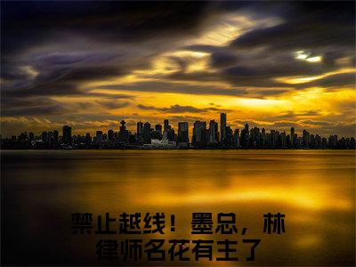 禁止越线！墨总，林律师名花有主了（林非鹿墨云驰）小说免费阅读无弹窗完整版_（林非鹿墨云驰）禁止越线！墨总，林律师名花有主了最新章节列表笔趣阁