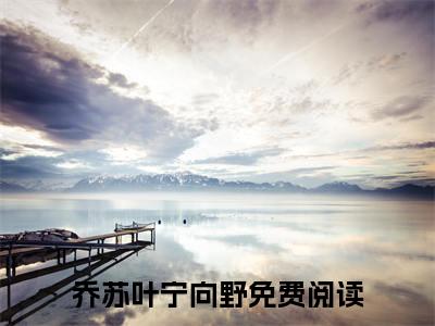 失衡（乔苏叶宁向野小说）全文免费阅读无弹窗大结局_失衡全文免费阅读_笔趣阁（乔苏叶宁向野）