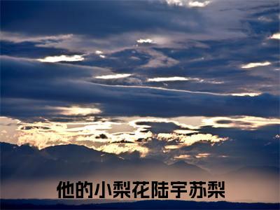他的小梨花全本资源免费阅读结局无删节-陆宇苏梨小说全文阅读无弹窗（他的小梨花）