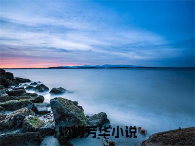孟思南霍廷锴全文免费阅读无弹窗大结局_灼灼芳华章节列表_笔趣阁