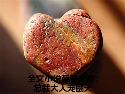 寒煜墨沈言蹊（萌妻太甜：总裁大人宠翻天）小说免费下载全本-寒煜墨沈言蹊（萌妻太甜：总裁大人宠翻天完整版）免费阅读