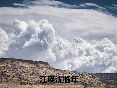江瑛沈临年今日书单最新更新-江瑛沈临年全文在线观看