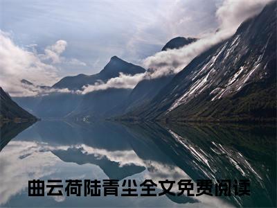曲云荷陆青尘（我是他的命羽）小说免费下载全本-曲云荷陆青尘（我是他的命羽完整版）免费阅读无弹窗