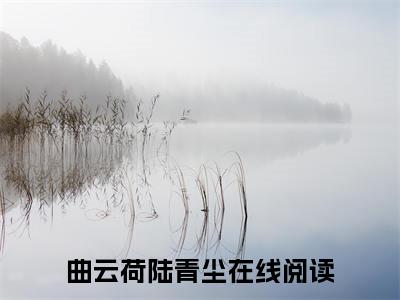 我是他的命羽小说（曲云荷陆青尘）全文免费阅读无弹窗大结局_（我是他的命羽）曲云荷陆青尘小说最新章节列表