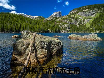 蒋锦年沈初禾最新章节（蒋锦年沈初禾全文+后续）全文免费阅读无弹窗大结局_蒋锦年沈初禾全文+后续免费阅读（蒋锦年沈初禾）