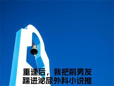 沈景霄苏青橙（重逢后，我把前男友踹进泌尿外科）在线阅读的小说完整版-重逢后，我把前男友踹进泌尿外科（沈景霄苏青橙）小说免费阅读