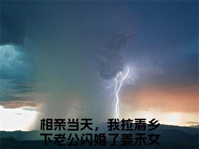 相亲当天，我拉着乡下老公闪婚了姜禾小说大结局免费阅读-精彩小说（相亲当天，我拉着乡下老公闪婚了姜禾）